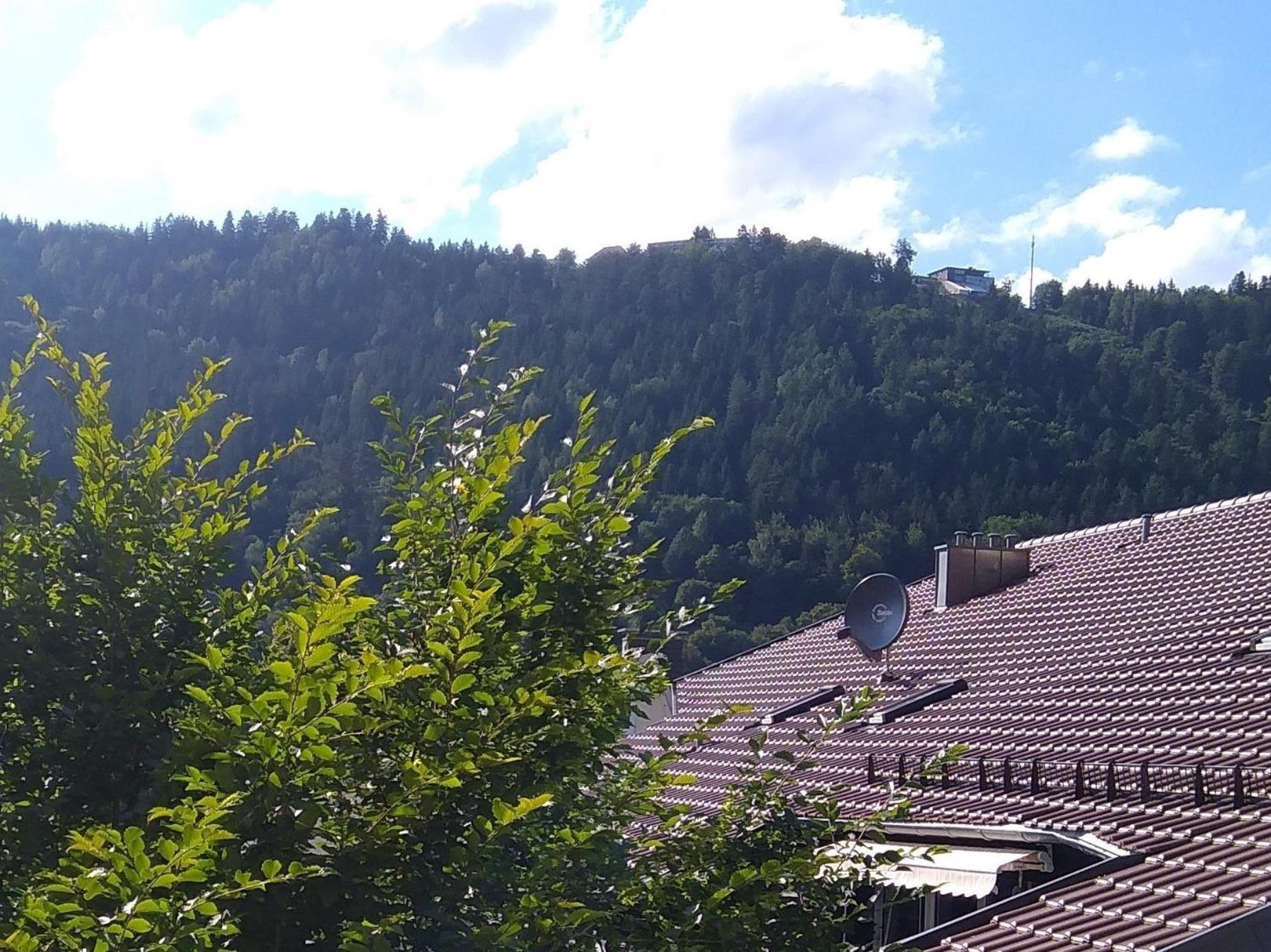Ferienwohnung Tannenwald باد ويلباد المظهر الخارجي الصورة
